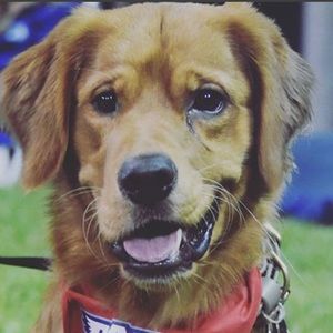 Meet your Posher, Tucker